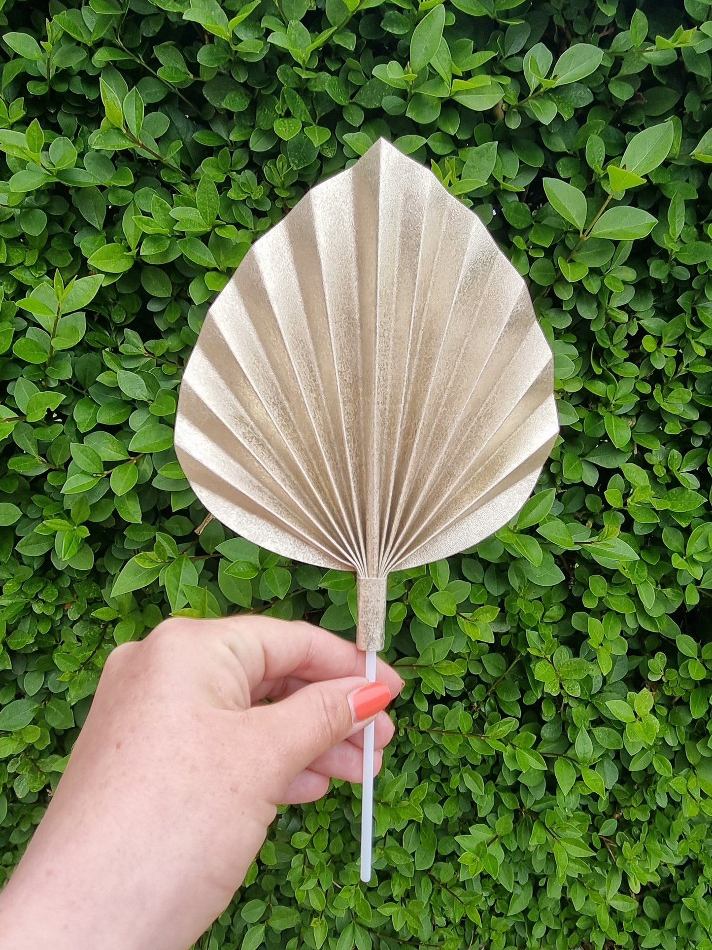 Small palm spear     (Handmade to order)