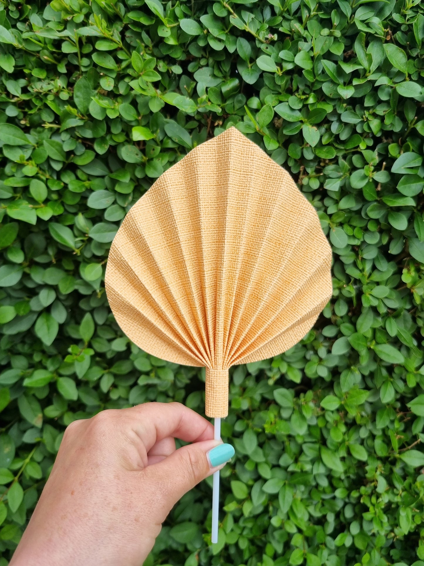 Small palm spear     (Handmade to order)