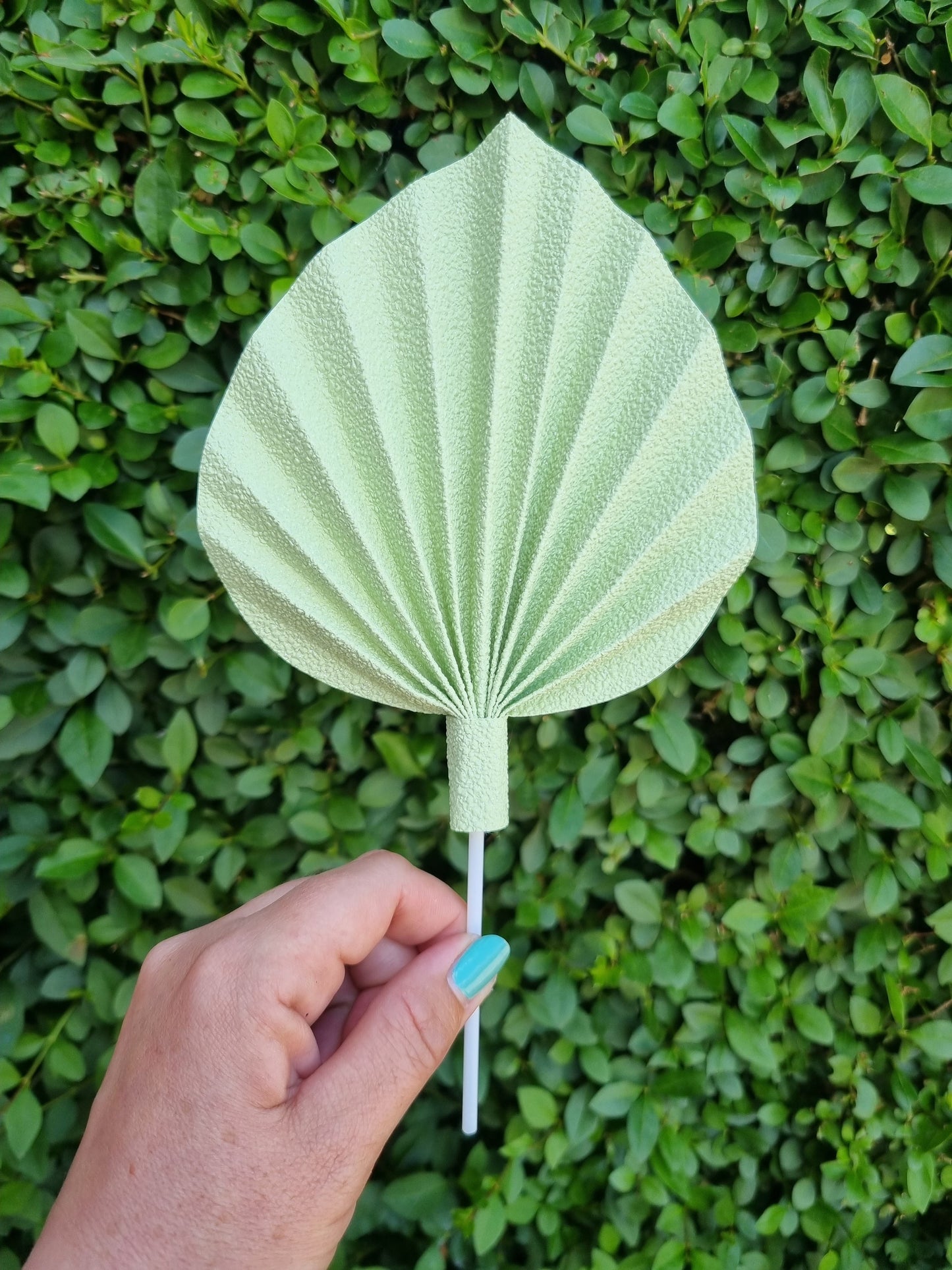 Small palm spear     (Handmade to order)